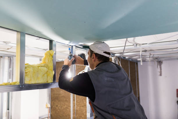 Best Insulation Maintenance and Repair in Lula, GA