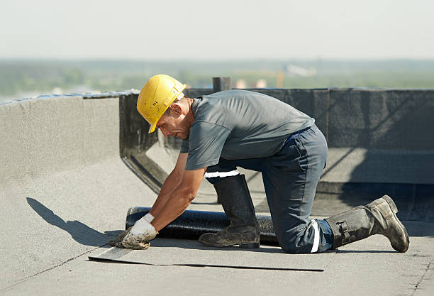 Best Insulation Installation Services in Lula, GA