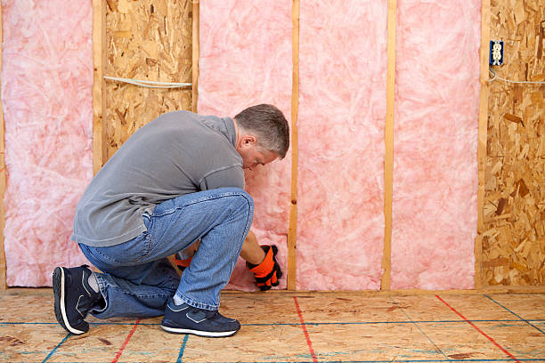 Best Insulation for Specific Applications in Lula, GA
